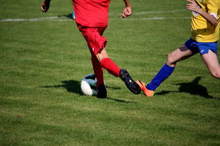 九游官网-中小学篮球教研活动不断创新教学方法提升训练效果，篮球教研活动总结